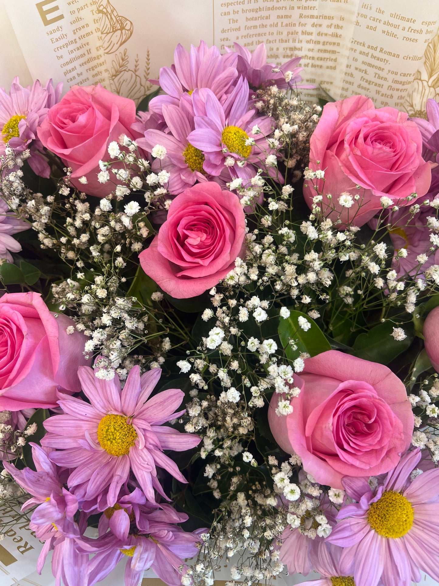 Imported Pink Rose Bouquet with Baby’s Breath – Elegant Newspaper Wrap Design